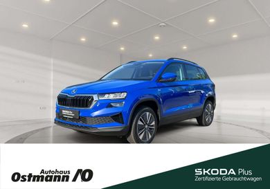 Skoda Karoq, 2023