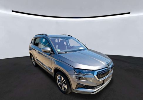 Skoda Karoq, 2023