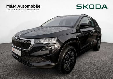 Skoda Karoq, 2022
