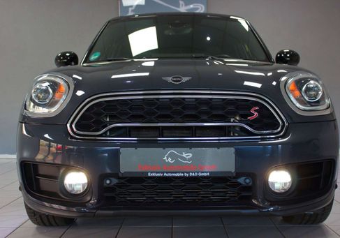 MINI, 2019