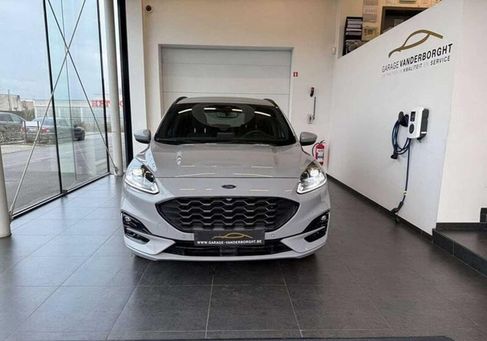 Ford Kuga, 2024