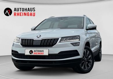 Skoda Karoq, 2020