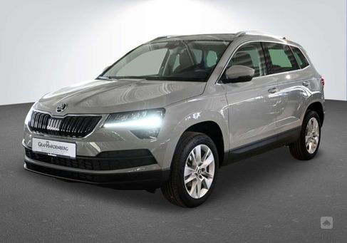 Skoda Karoq, 2021