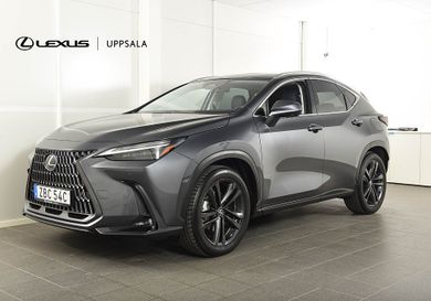 Lexus NX, 2025