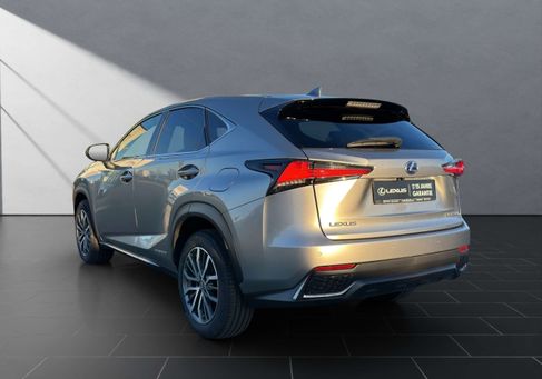 Lexus NX 300, 2018