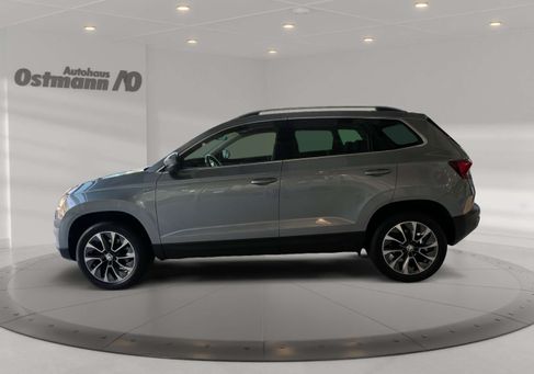 Skoda Karoq, 2020