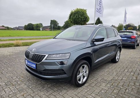 Skoda Karoq, 2020