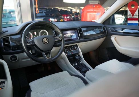 Skoda Kodiaq, 2017