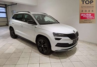 Skoda Karoq, 2020