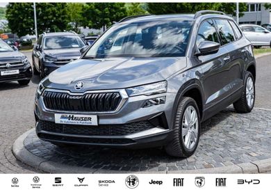 Skoda Karoq, 2025