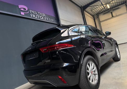 Jaguar, 2019