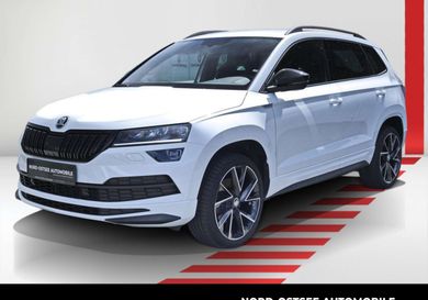 Skoda Karoq, 2021