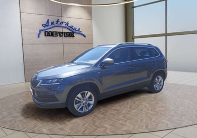 Skoda Karoq, 2020