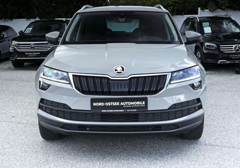 Skoda Karoq, 2019