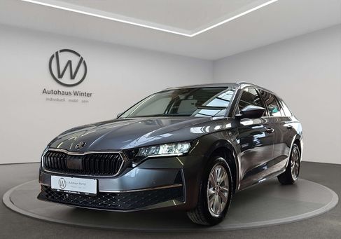 Skoda Octavia, 2024