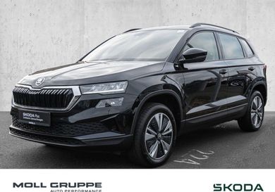 Skoda Karoq, 2023