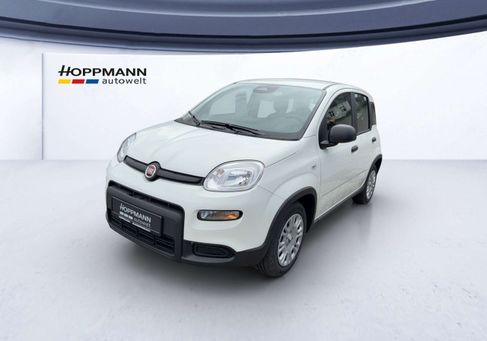 Fiat Panda, 2025