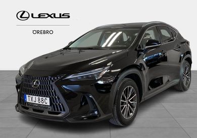 Lexus NX, 2023