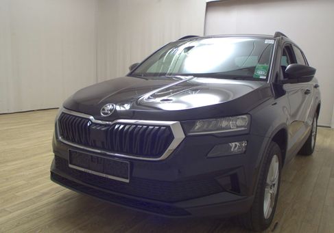 Skoda Karoq, 2023