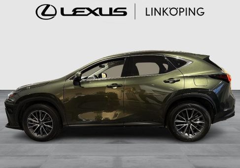 Lexus NX, 2024