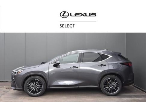 Lexus NX, 2023
