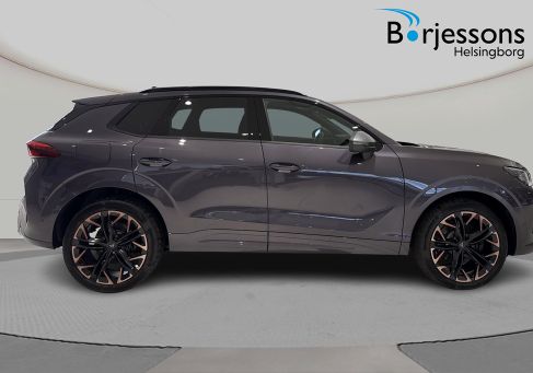 Cupra, 2025