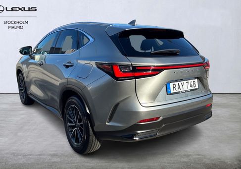Lexus NX, 2023