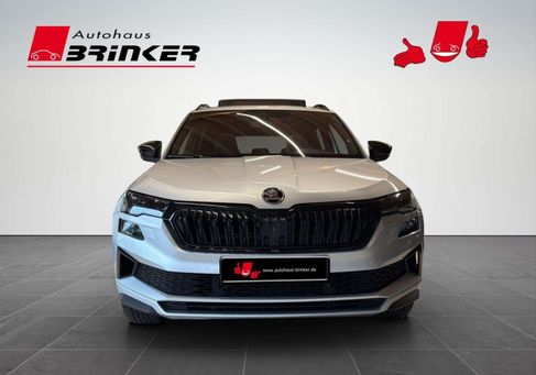 Skoda Karoq, 2022