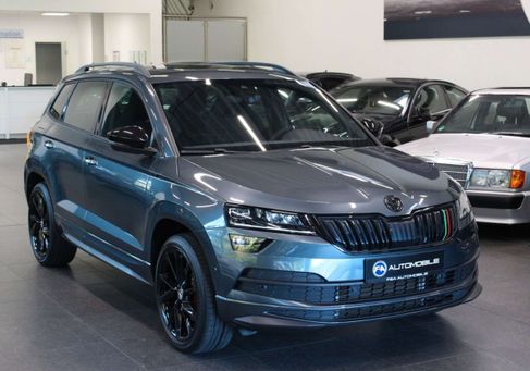 Skoda Karoq, 2019