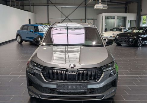 Skoda Karoq, 2023
