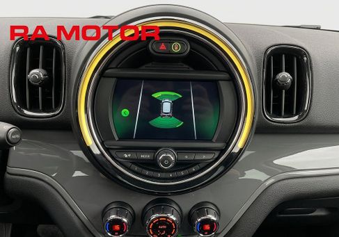 MINI, 2019