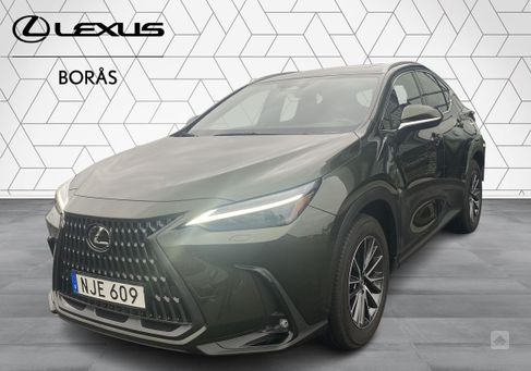 Lexus NX, 2024