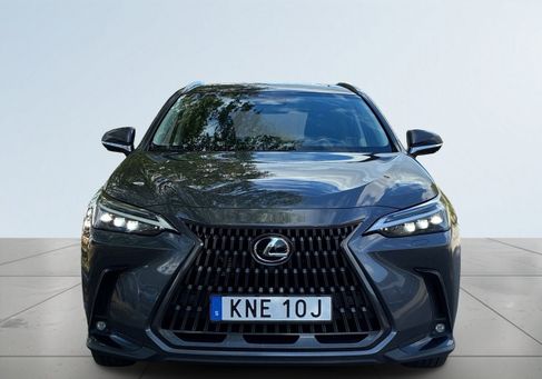 Lexus NX, 2024