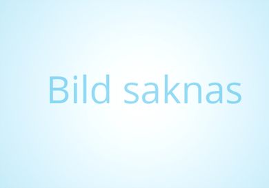 Volkswagen Passat, 2021