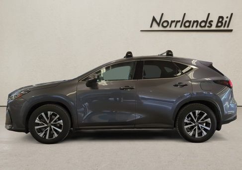 Lexus NX, 2023