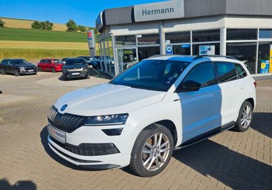 Skoda Karoq, 2020