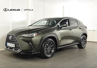 Lexus NX, 2025
