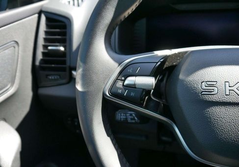 Skoda Karoq, 2025