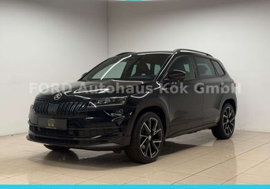 Skoda Karoq, 2019
