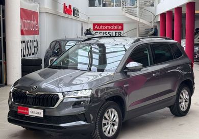 Skoda Karoq, 2024