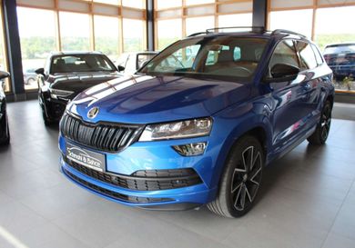 Skoda Karoq, 2020