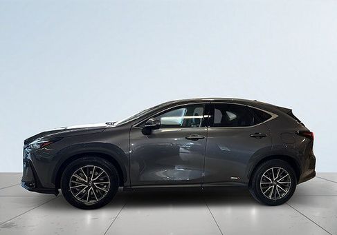 Lexus NX, 2024