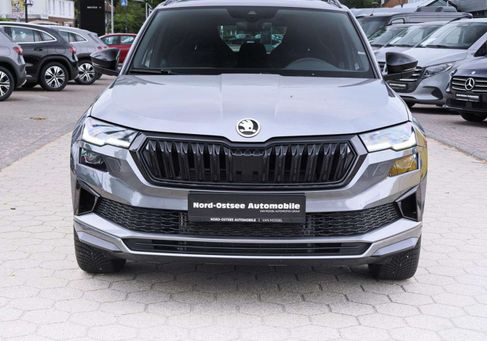 Skoda Karoq, 2024