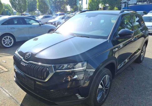 Skoda Karoq, 2023 2