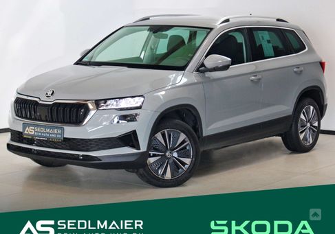 Skoda Karoq, 2023