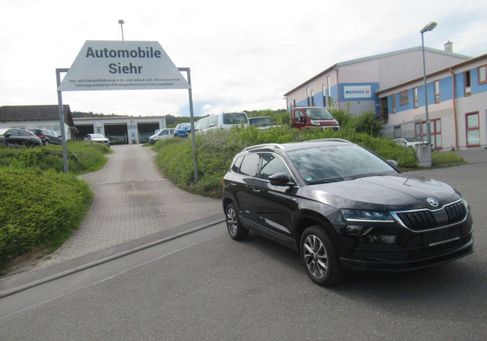Skoda Karoq, 2021
