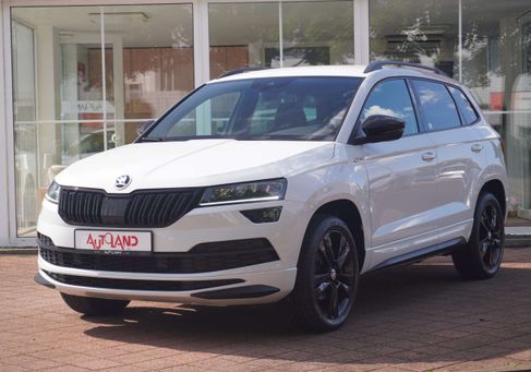 Skoda Karoq, 2020