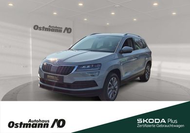 Skoda Karoq, 2021