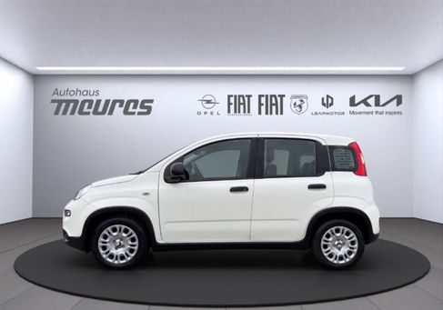 Fiat Panda, 2025