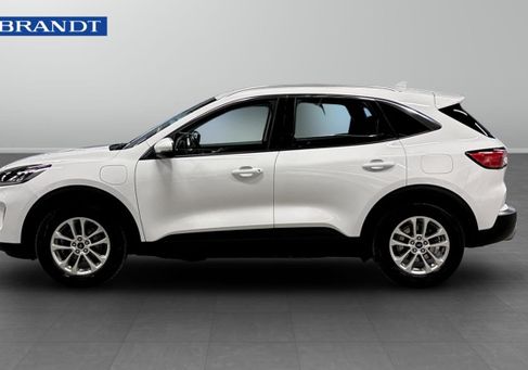 Ford Kuga, 2021